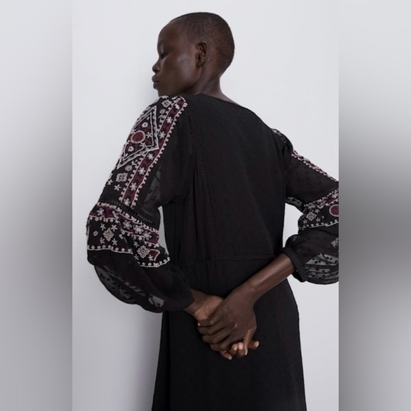 Gorgeous Zara midi dot mesh dress embroidered with sheer sleeves - Picture 4 of 9